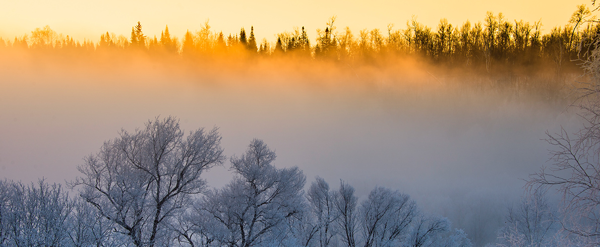 双周争胜20期“冬”征稿